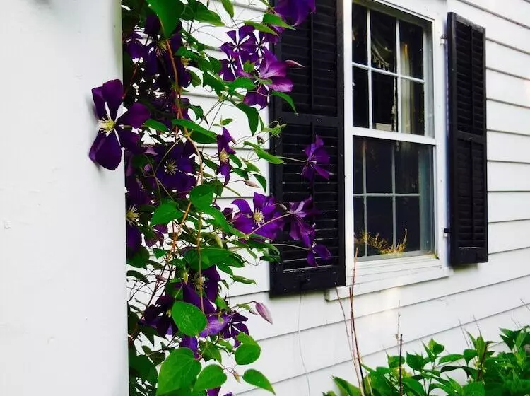 Aamiaismajoitus (B&B) Millbrook Country House