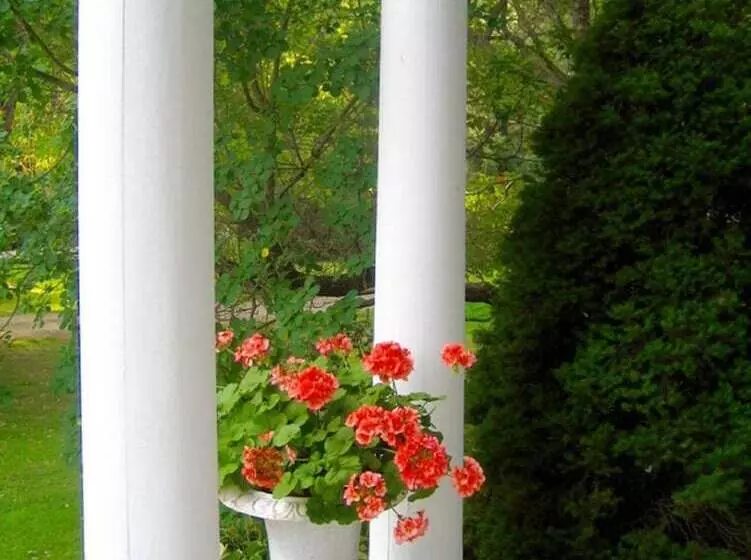 Aamiaismajoitus (B&B) Millbrook Country House