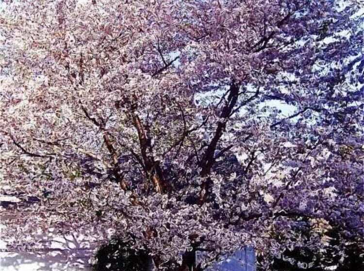 צימר Millbrook Country House