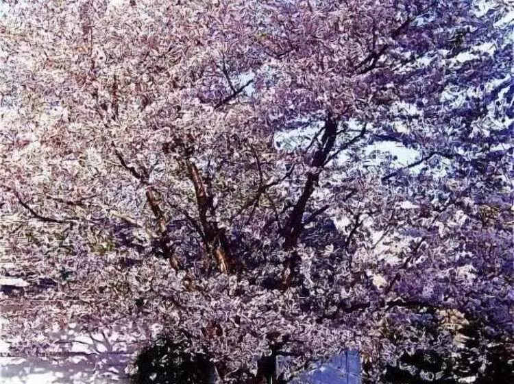 Aamiaismajoitus (B&B) Millbrook Country House