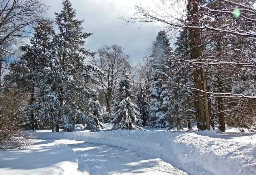 Aamiaismajoitus (B&B) Millbrook Country House