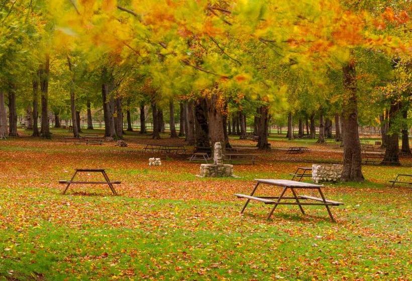 Отель Agriturismo Falode