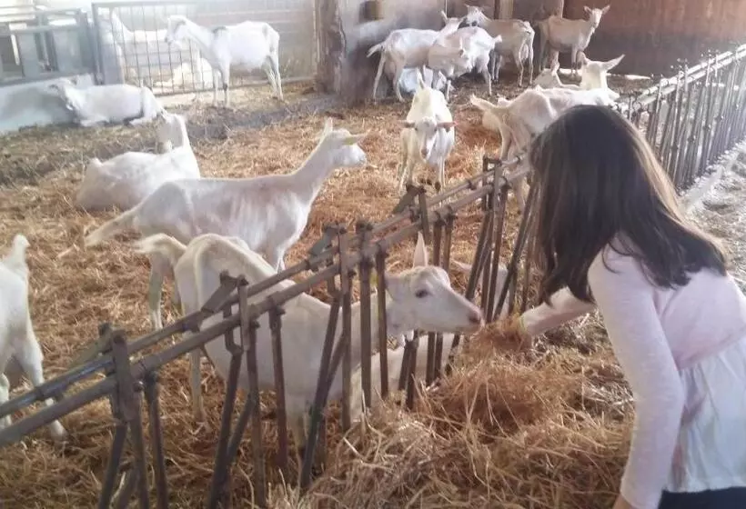 ホテル Agriturismo Falode
