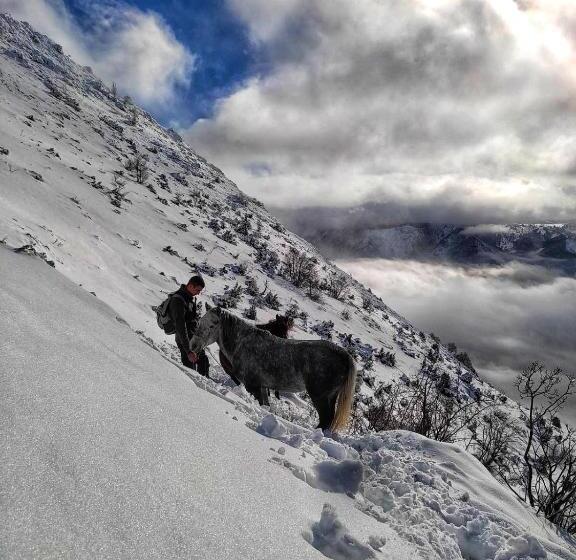 پانسیون Guesthouse Madzarevic