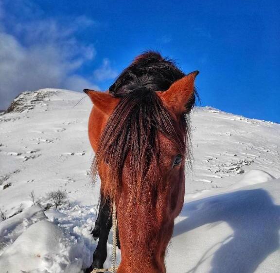 پانسیون Guesthouse Madzarevic