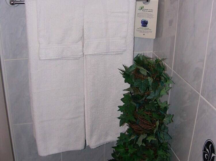 旅馆 Aux Berges De L Ile Garth