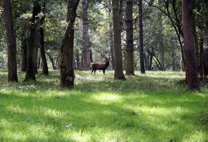 ユースホステル Le Ry D Ave