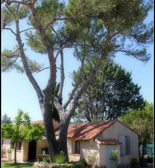 צימר A L'orée Du Pin