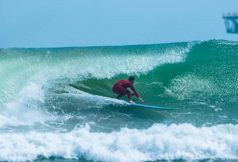 ベッドアンドブレックファースト Buena Vista Lobitos