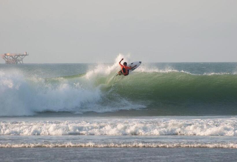 ベッドアンドブレックファースト Buena Vista Lobitos