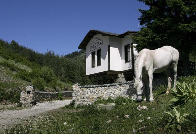 Family Hotel Arkan Han