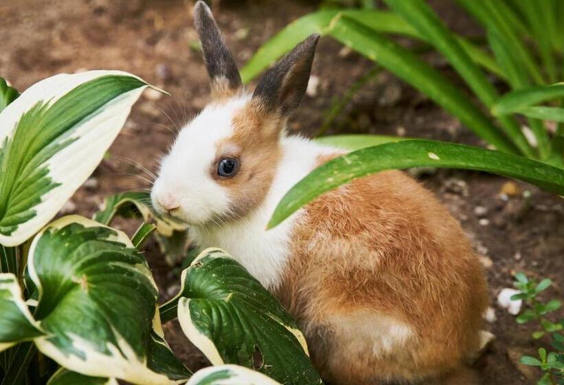 Hotel Al Canton Agriturismo Di Design