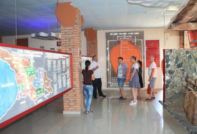 هتل Twins Wine Cellar