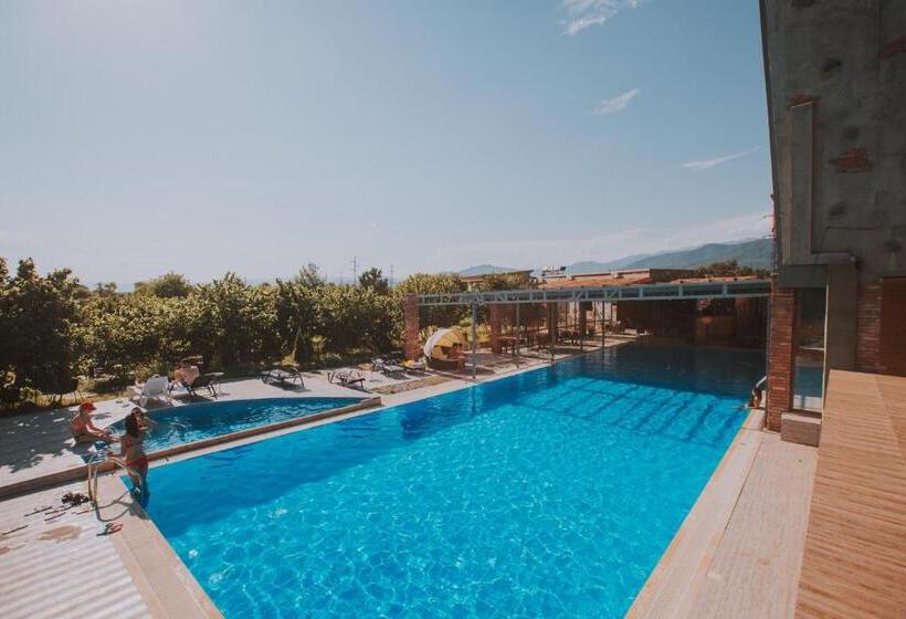 هتل Twins Wine Cellar