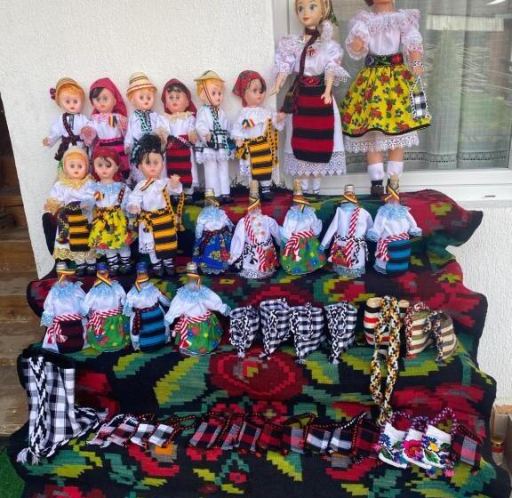 ペンション Floare De Maramures 1