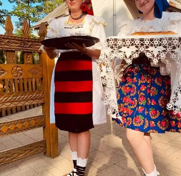 پانسیون Floare De Maramures 1