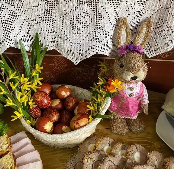 پانسیون Floare De Maramures 1