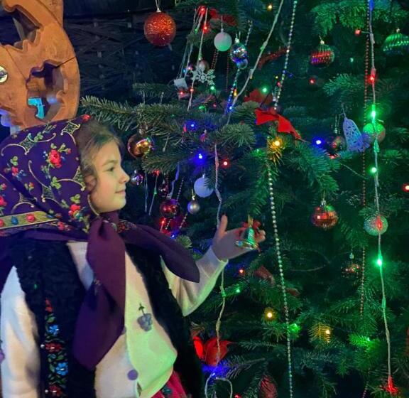 ペンション Floare De Maramures 1