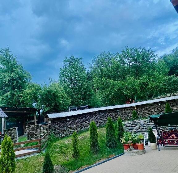 ペンション Floare De Maramures 1