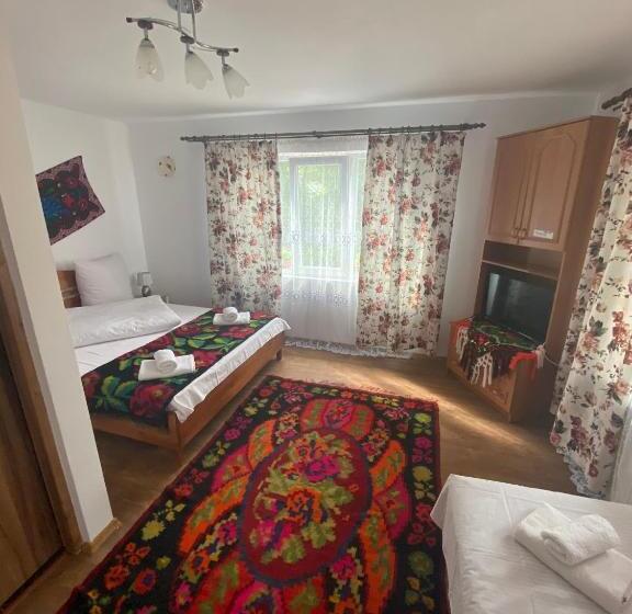 ペンション Floare De Maramures 1