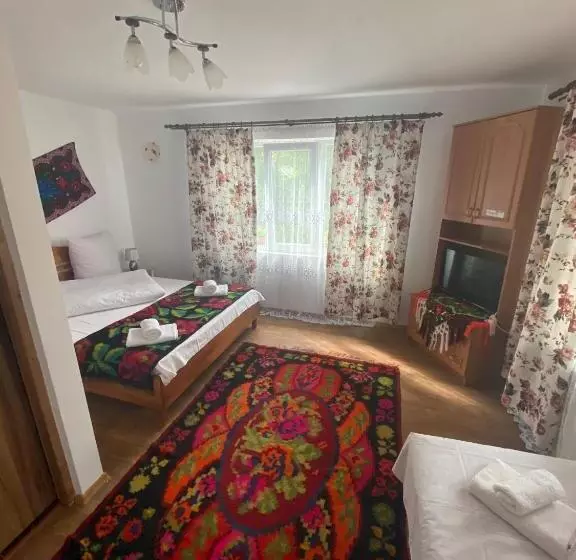 پانسیون Floare De Maramures 1