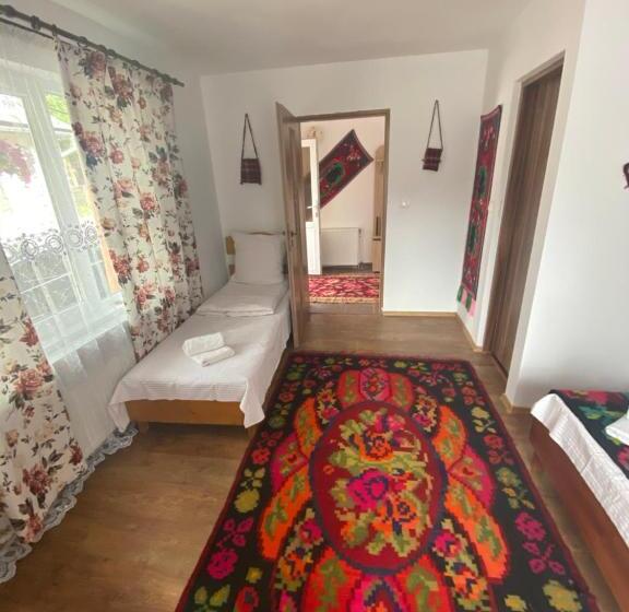 ペンション Floare De Maramures 1