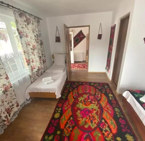 پانسیون Floare De Maramures 1