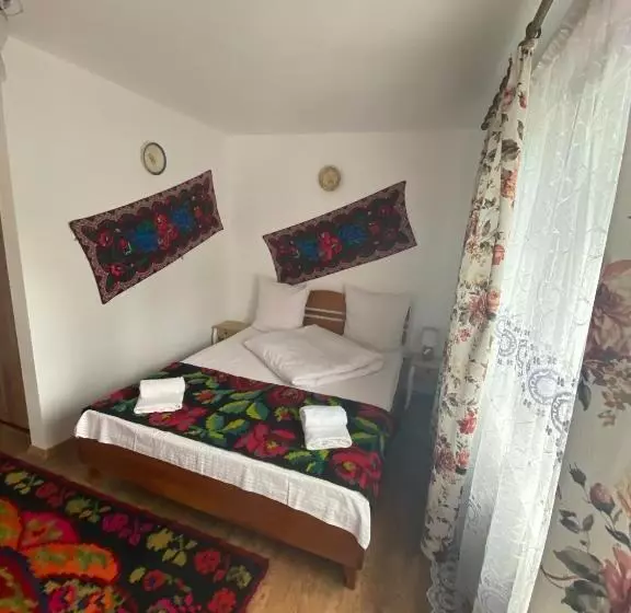 پانسیون Floare De Maramures 1