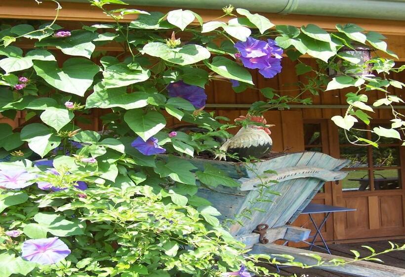 פנסיון La Roulotte De La Vallée Du Lot