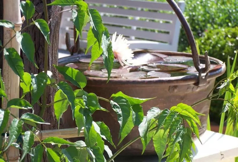 ペンション La Roulotte De La Vallée Du Lot