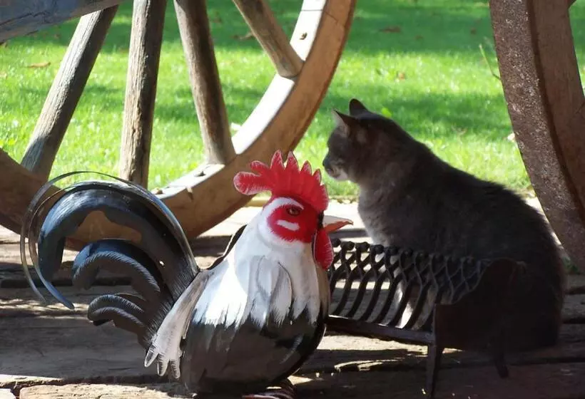 ペンション La Roulotte De La Vallée Du Lot