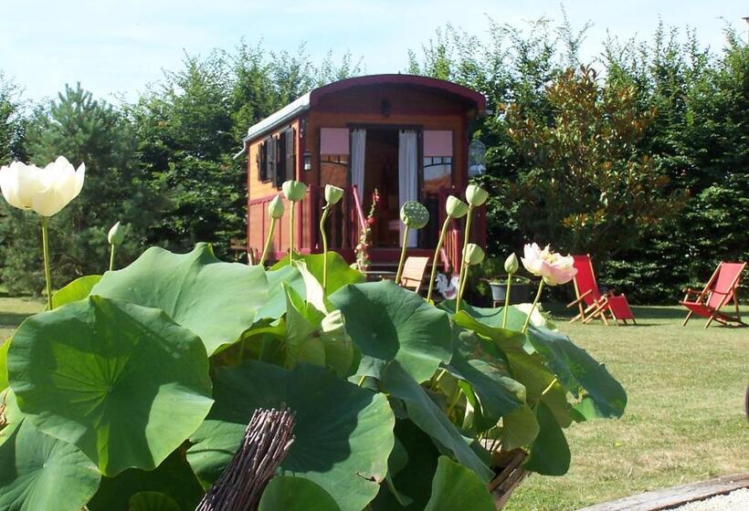 פנסיון La Roulotte De La Vallée Du Lot