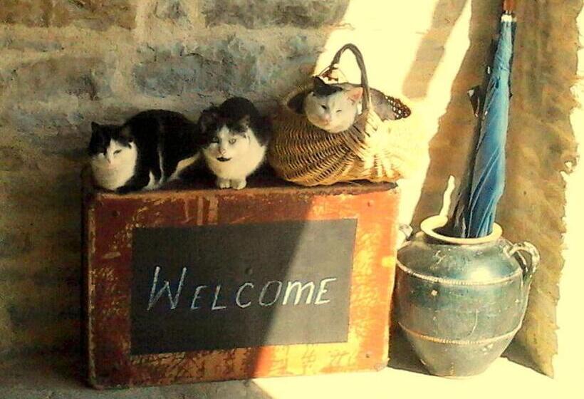 Пансион Osmarski Houses