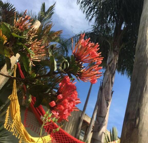 ペンション Pousada Luz Do Sol