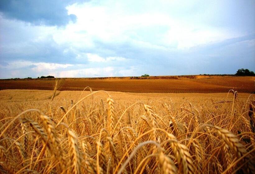 پانسیون Rooms Milin Lagum