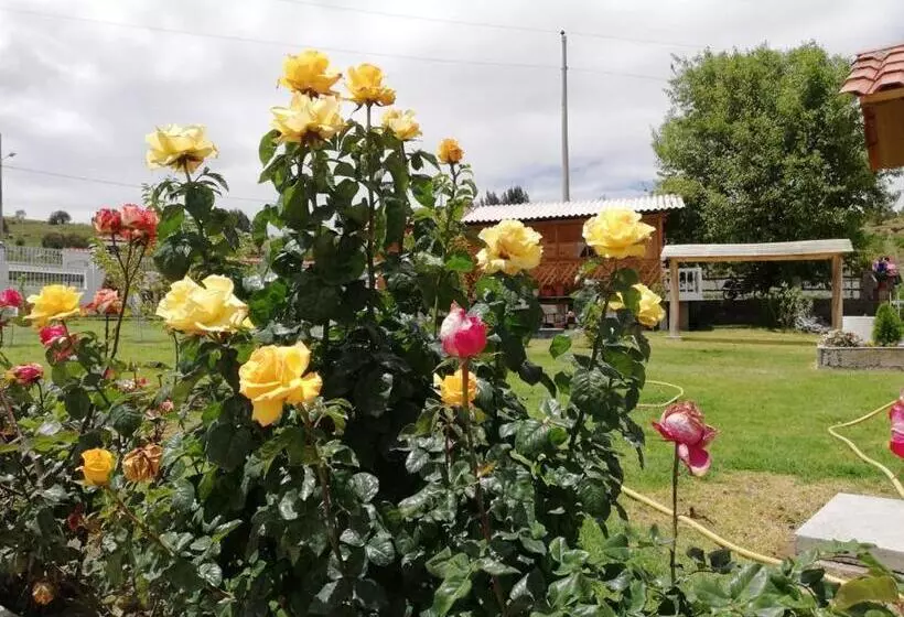 ホテル Quinta Spa El Rosal