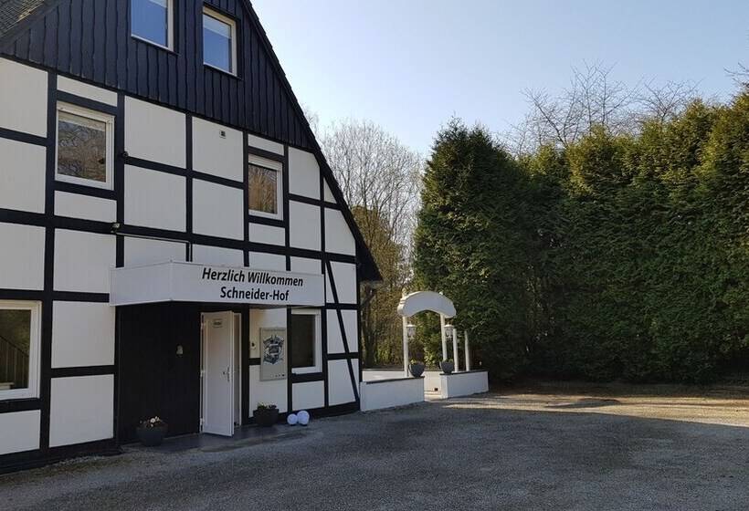 펜션 Schneider Hof