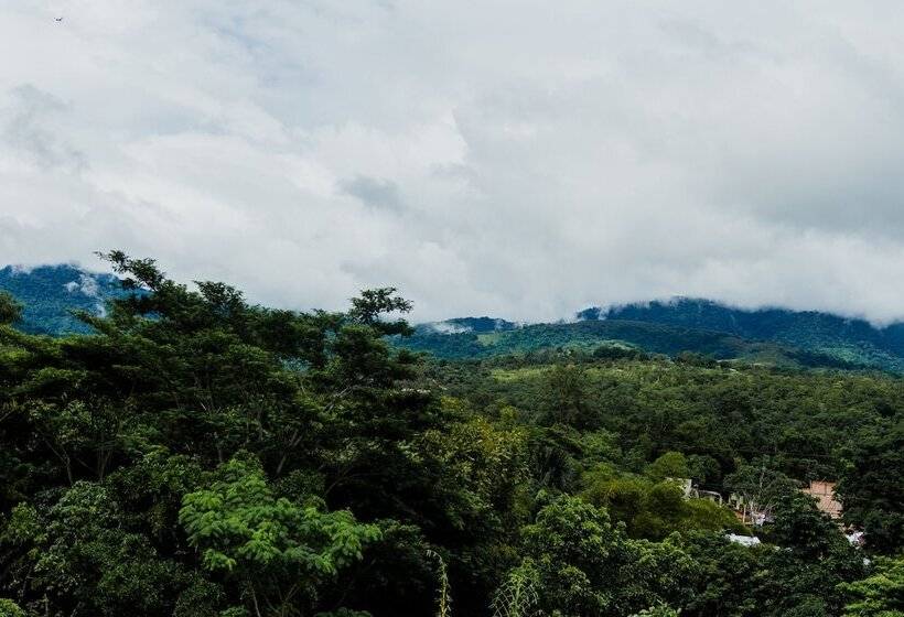 ホテル Posada Del Angel