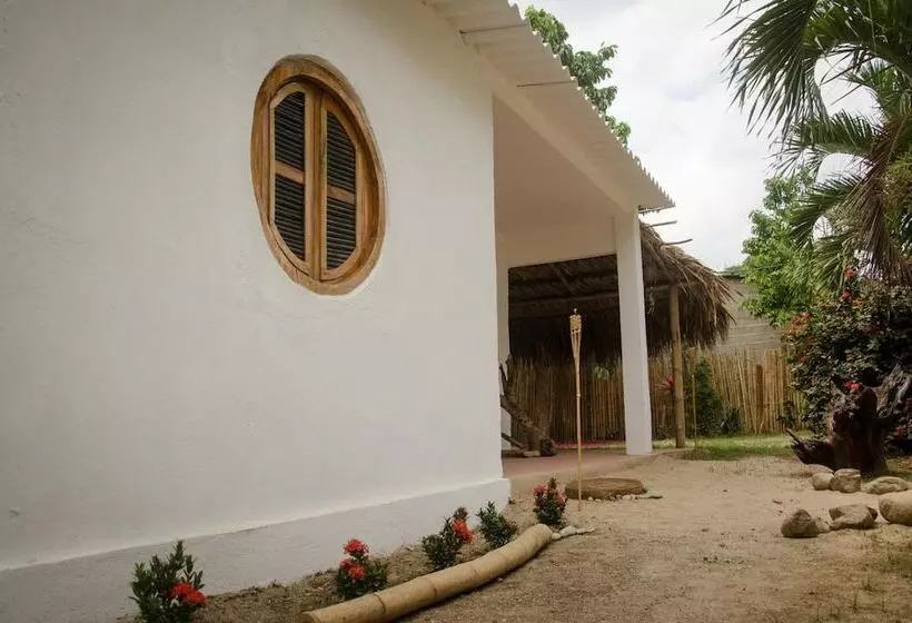 هاستل Hostal Corazón De Tagua