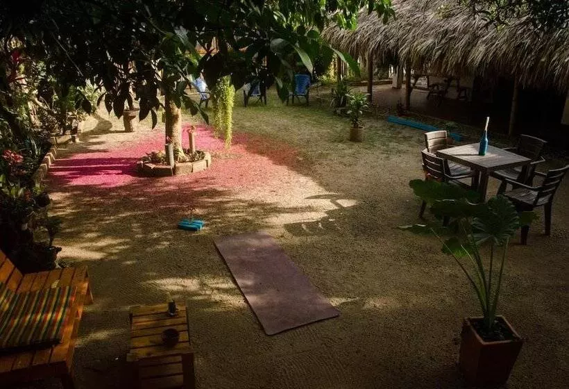هاستل Hostal Corazón De Tagua