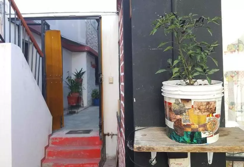 Hostel Viajeros Arequipa
