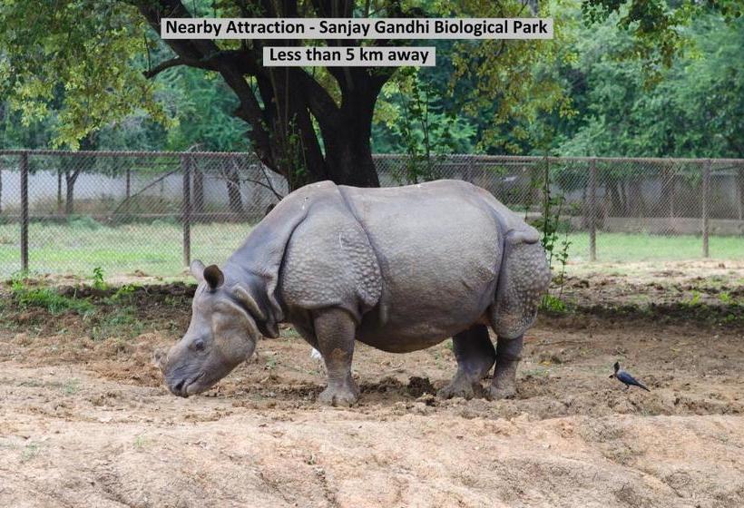 Отель Capital O 27616 Mega Royal