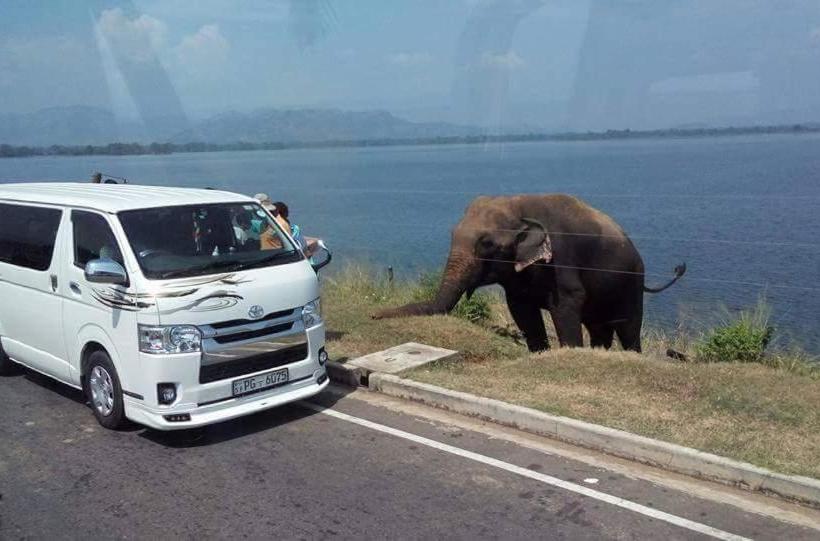 בית מלון כפרי Border