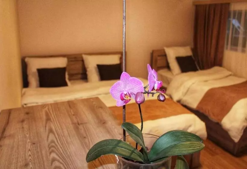 پانسیون Rooms 3
