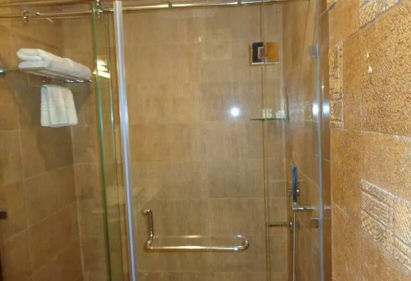 ホテル Millenia Regency Lucknow