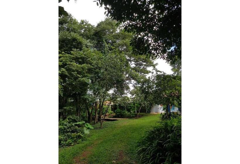 Pension (Hôtel basse catégorie) Pousada Luz Do Jamacá