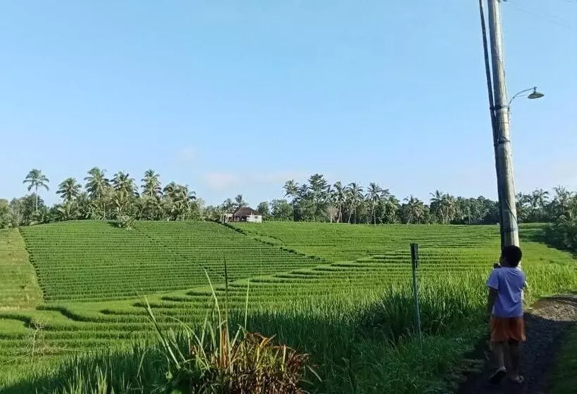 リゾートホテル Balitrees