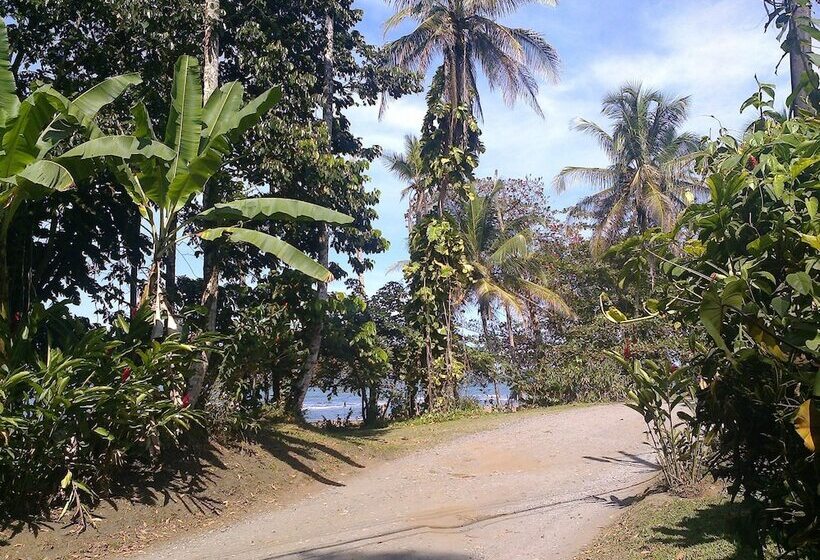 هاستل Playa Negra Guesthouse