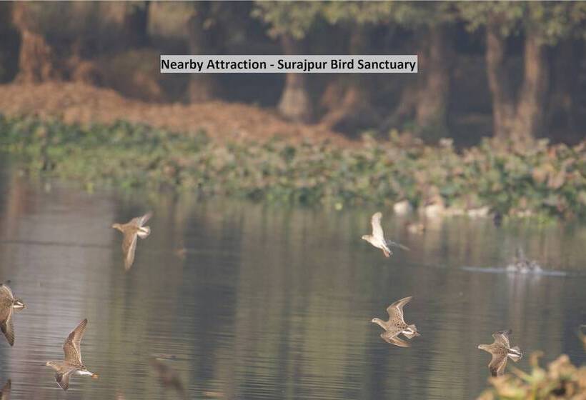 בית מלון כפרי Oyo 18982 Ooak Homes