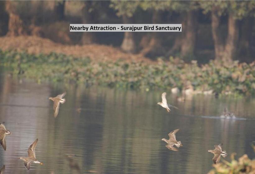 בית מלון כפרי Oyo 18982 Ooak Homes